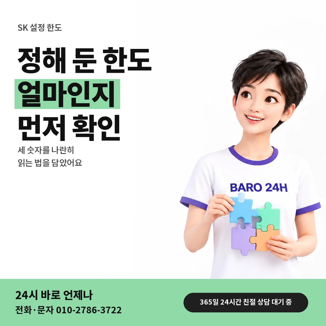 BARO 24H 티셔츠를 입은 3D 인물 옆에 「SK 설정 한도 확인」 제목을 얹은 안내 카드