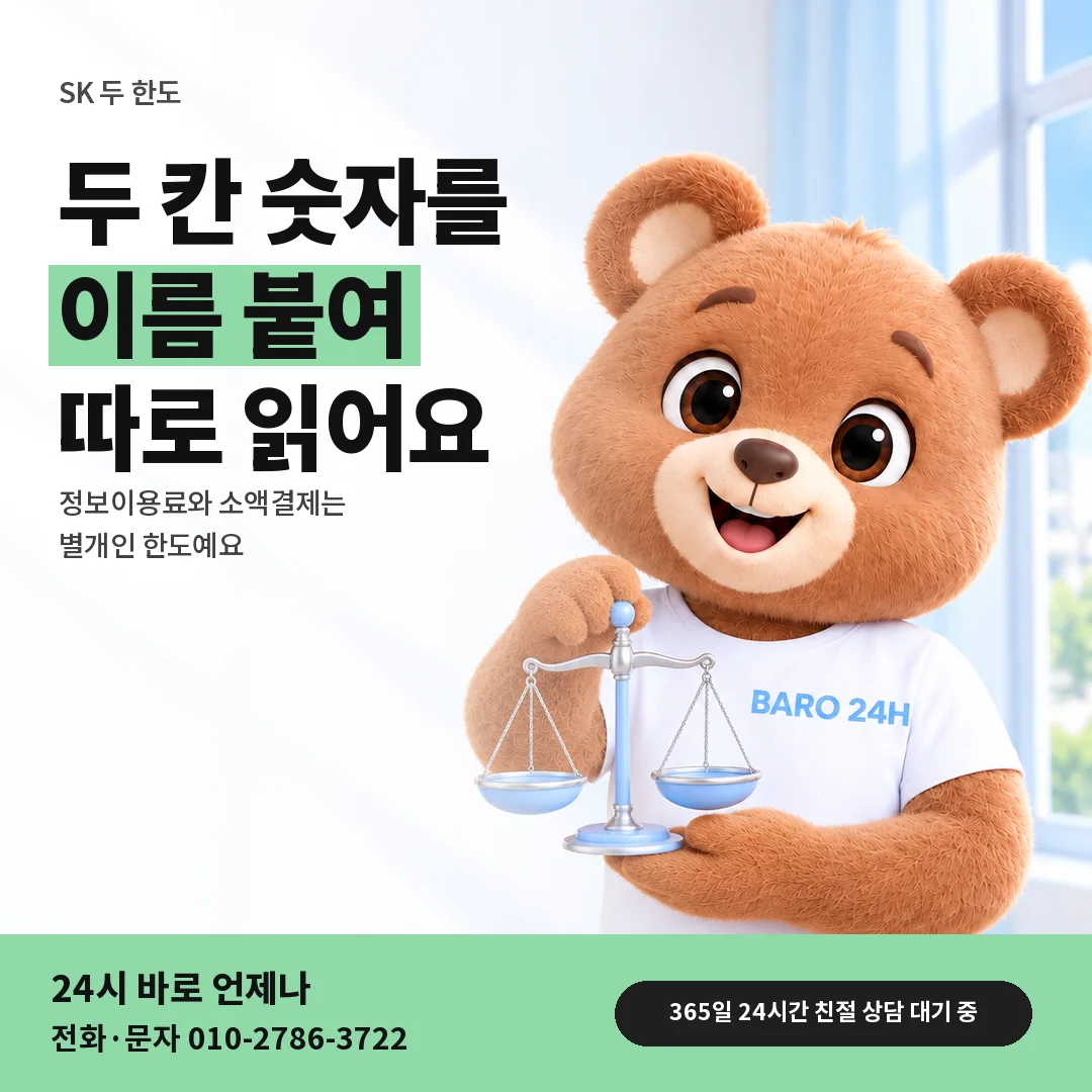 저울을 든 BARO 24H 티셔츠를 입은 3D 곰 캐릭터 옆에 「SK 두 한도 각각 보기」 제목을 얹은 안내 카드